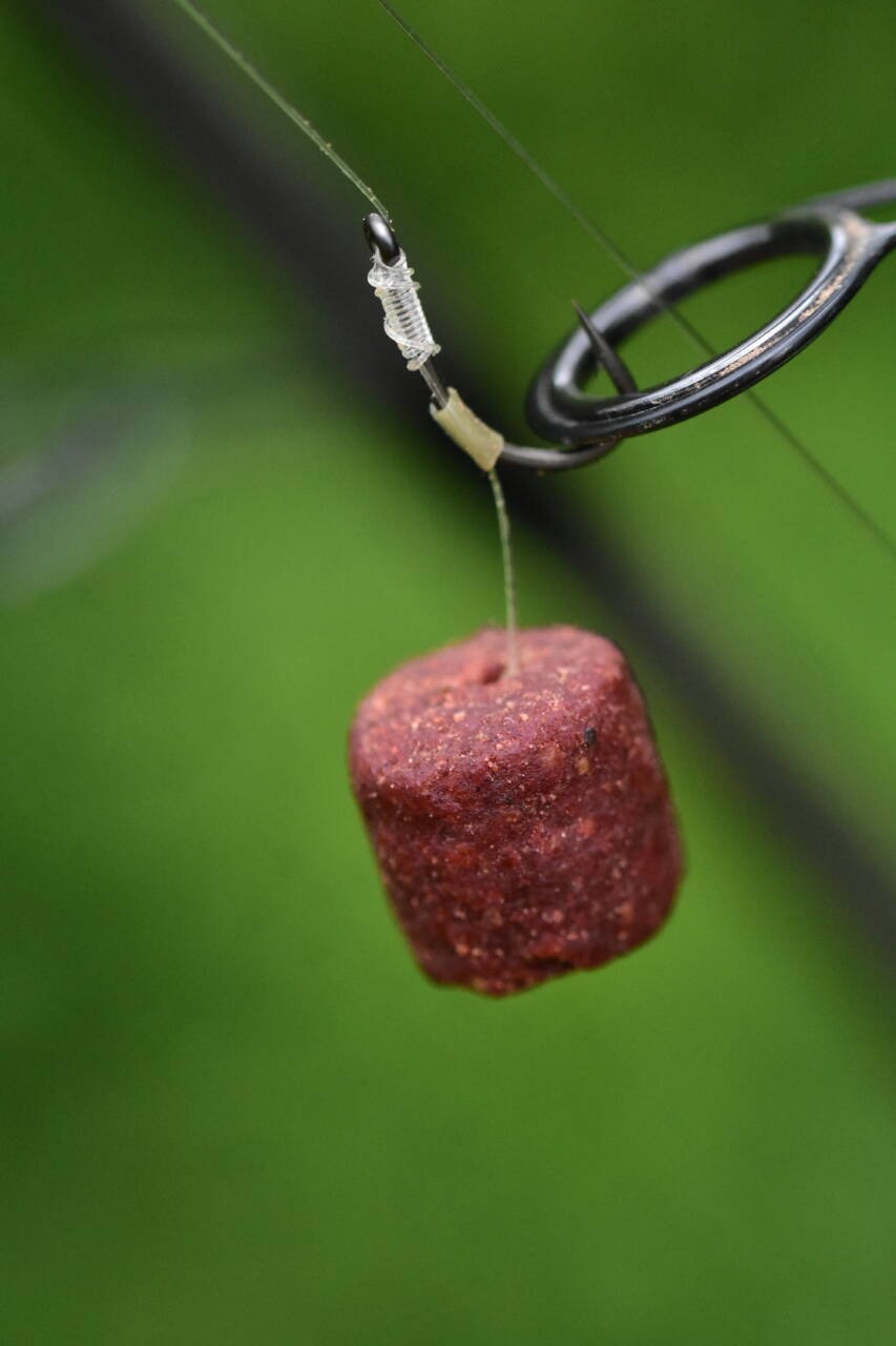 Dynamite Baits Marine Halibut Soft Carp Pellets | Esche Inneschi Fiume/lago - Foto 9